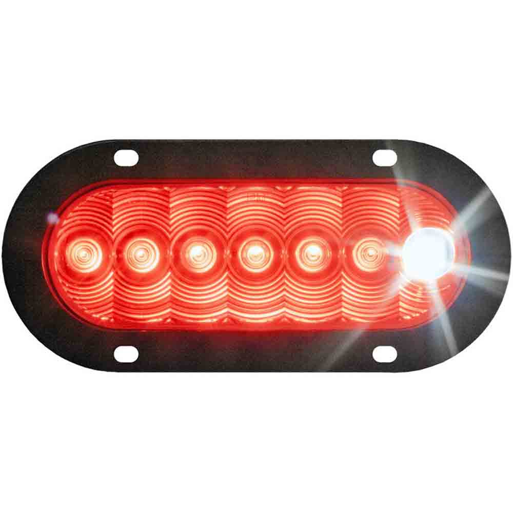 LED Tail Light with  Stop/Turn/Tail and Cyclops Back-Up Eye - Flange Mount - 6 Inch Oval