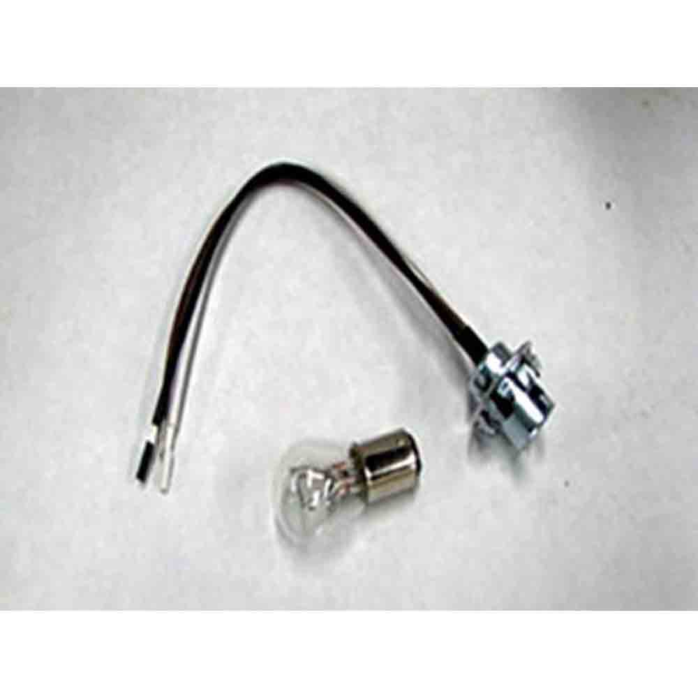 10-Pack Bulb and Socket
